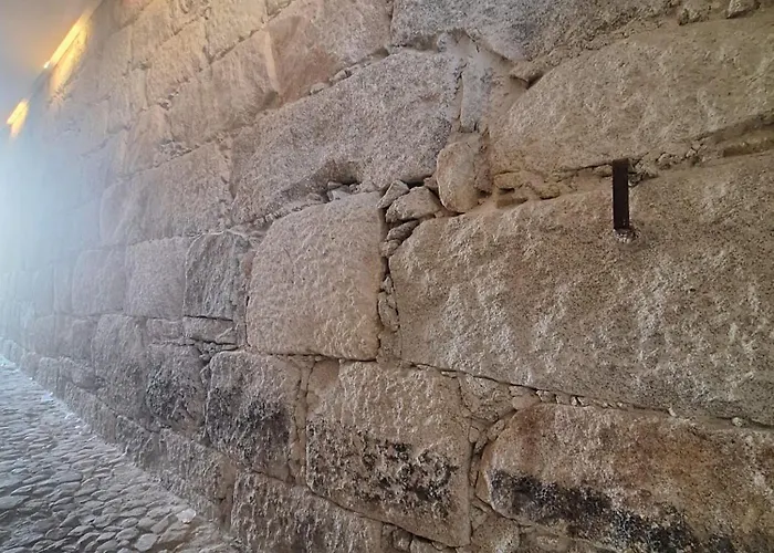 Auberge de jeunesse Easy Host