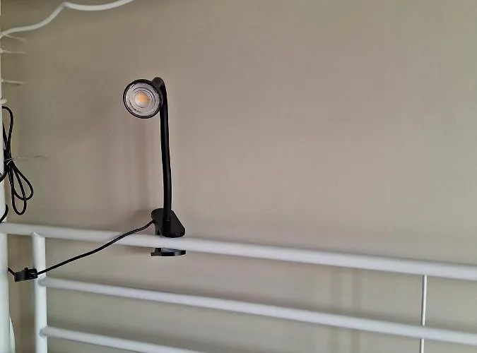 بيت شباب Easy Host *